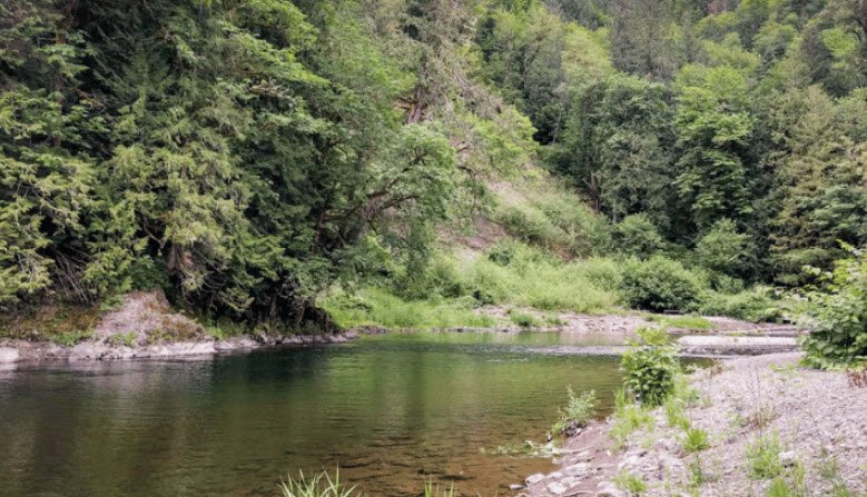 Tilton River State Park, Washington, USA